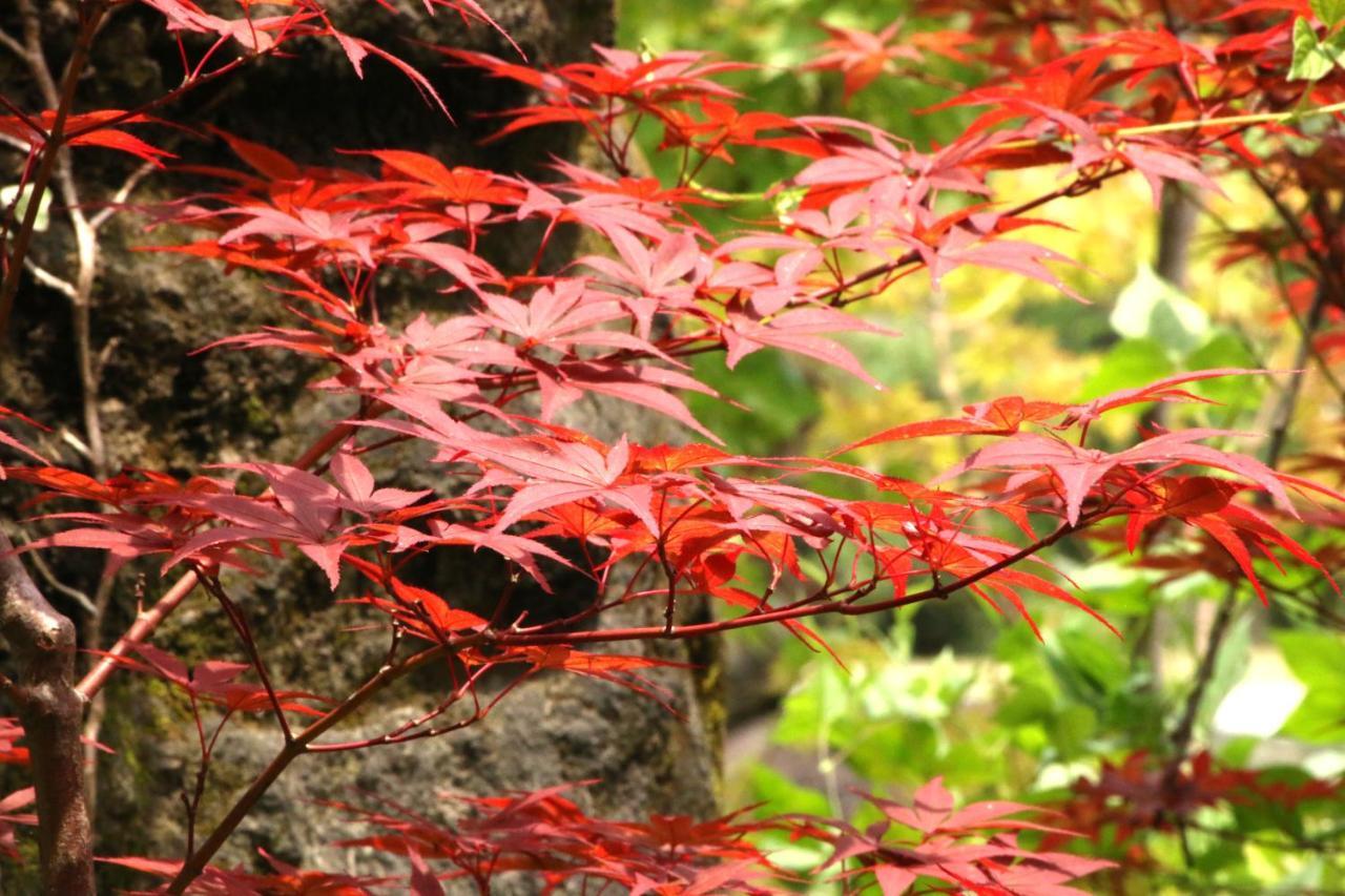 Usuki Yunosato Hotel Saiki ภายนอก รูปภาพ